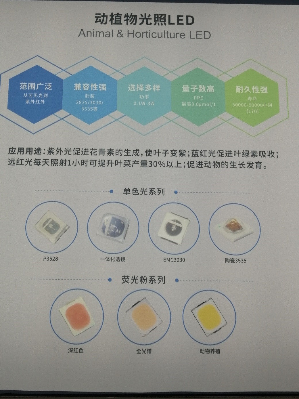 来利国际旗舰厅(中国优质)股份有限公司
