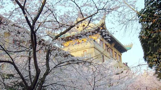 来利国际旗舰厅(中国优质)股份有限公司