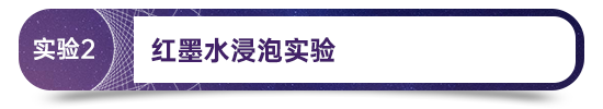 来利国际旗舰厅(中国优质)股份有限公司