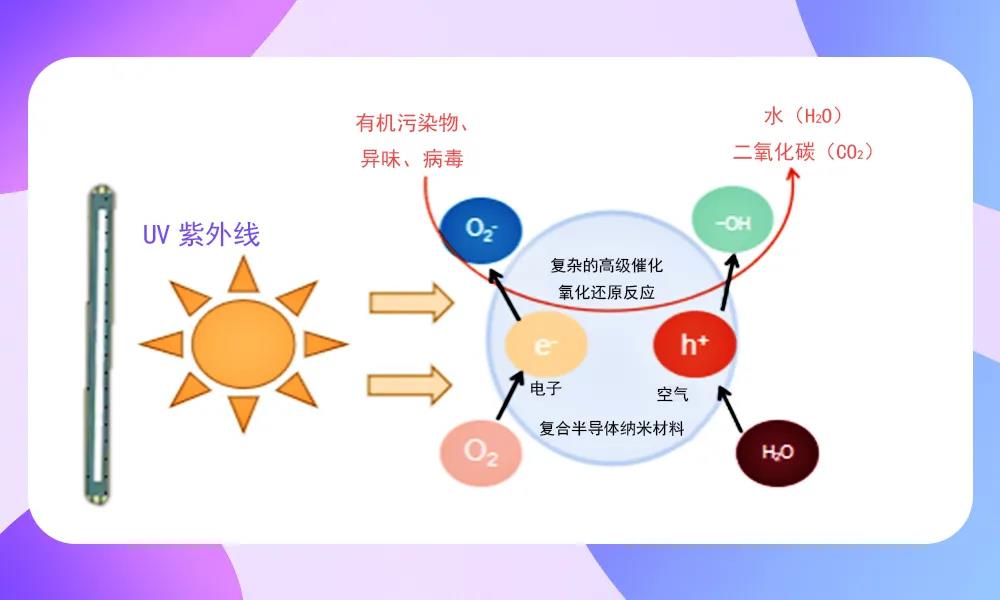来利国际旗舰厅(中国优质)股份有限公司