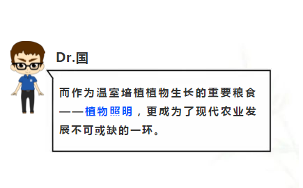 来利国际旗舰厅(中国优质)股份有限公司