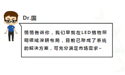 来利国际旗舰厅(中国优质)股份有限公司