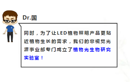 来利国际旗舰厅(中国优质)股份有限公司