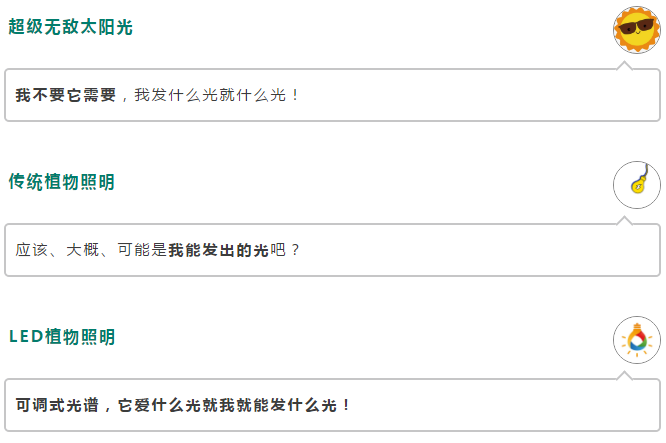 来利国际旗舰厅(中国优质)股份有限公司