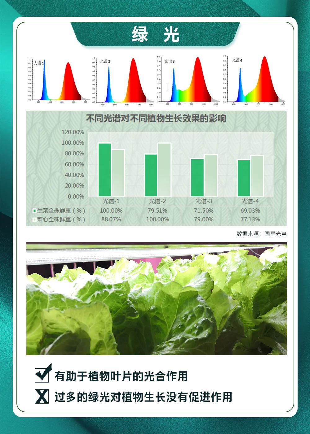 来利国际旗舰厅(中国优质)股份有限公司