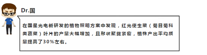 来利国际旗舰厅(中国优质)股份有限公司