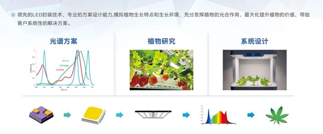 来利国际旗舰厅(中国优质)股份有限公司