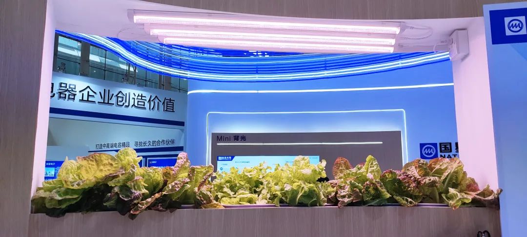 来利国际旗舰厅(中国优质)股份有限公司