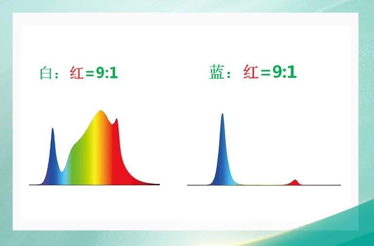 来利国际旗舰厅(中国优质)股份有限公司