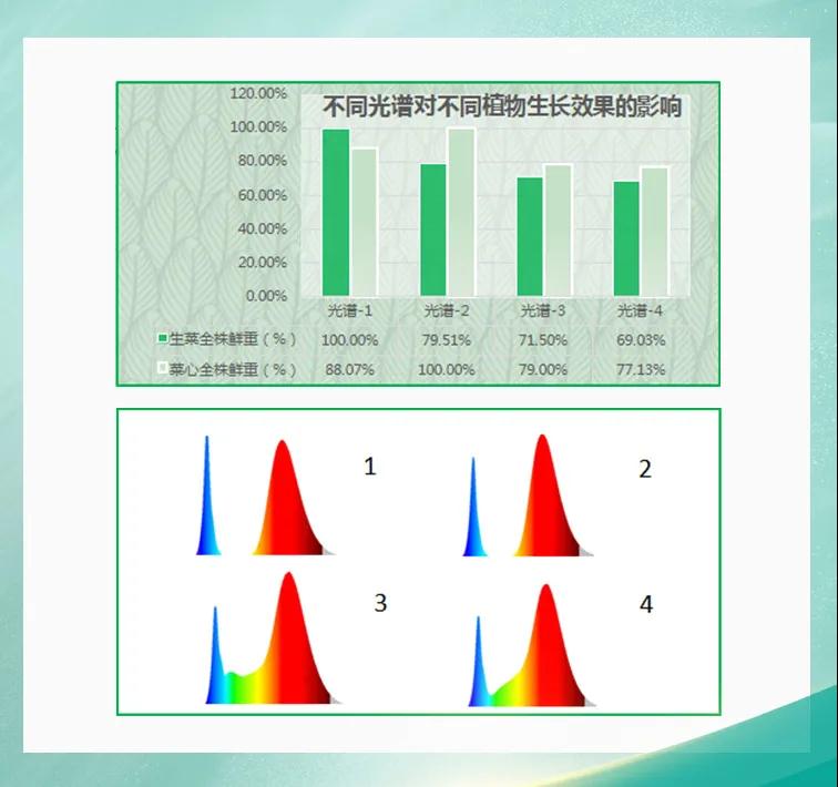 来利国际旗舰厅(中国优质)股份有限公司