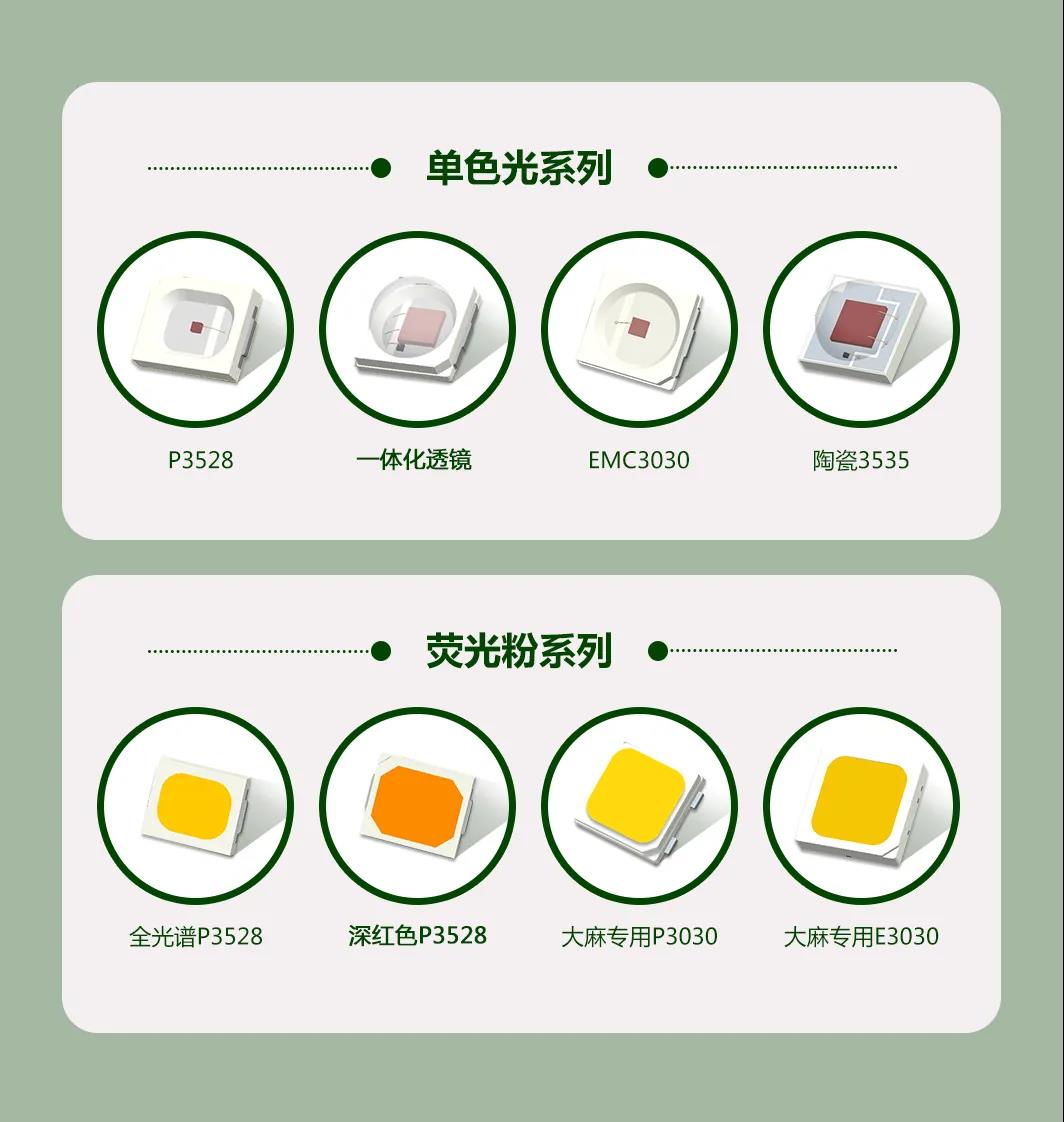 来利国际旗舰厅(中国优质)股份有限公司