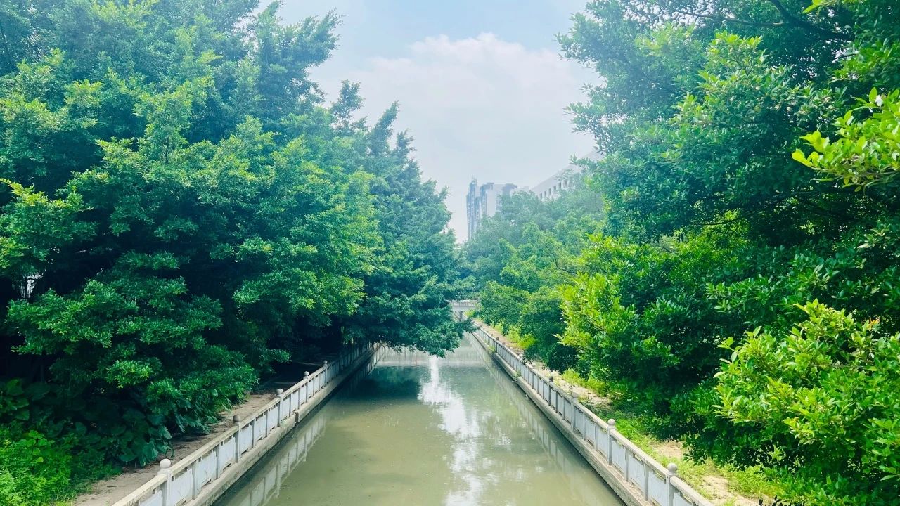 微信图片_20240523142734.jpg 微信图片_20240523142734.jpg